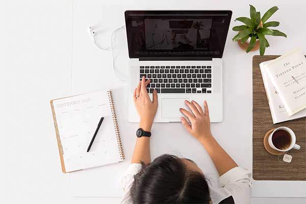 Illustrator for Beginners